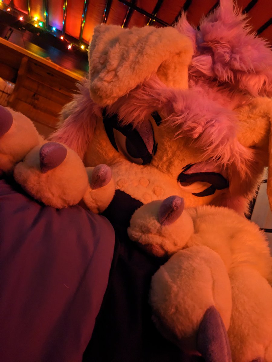 Content from grosspuppy