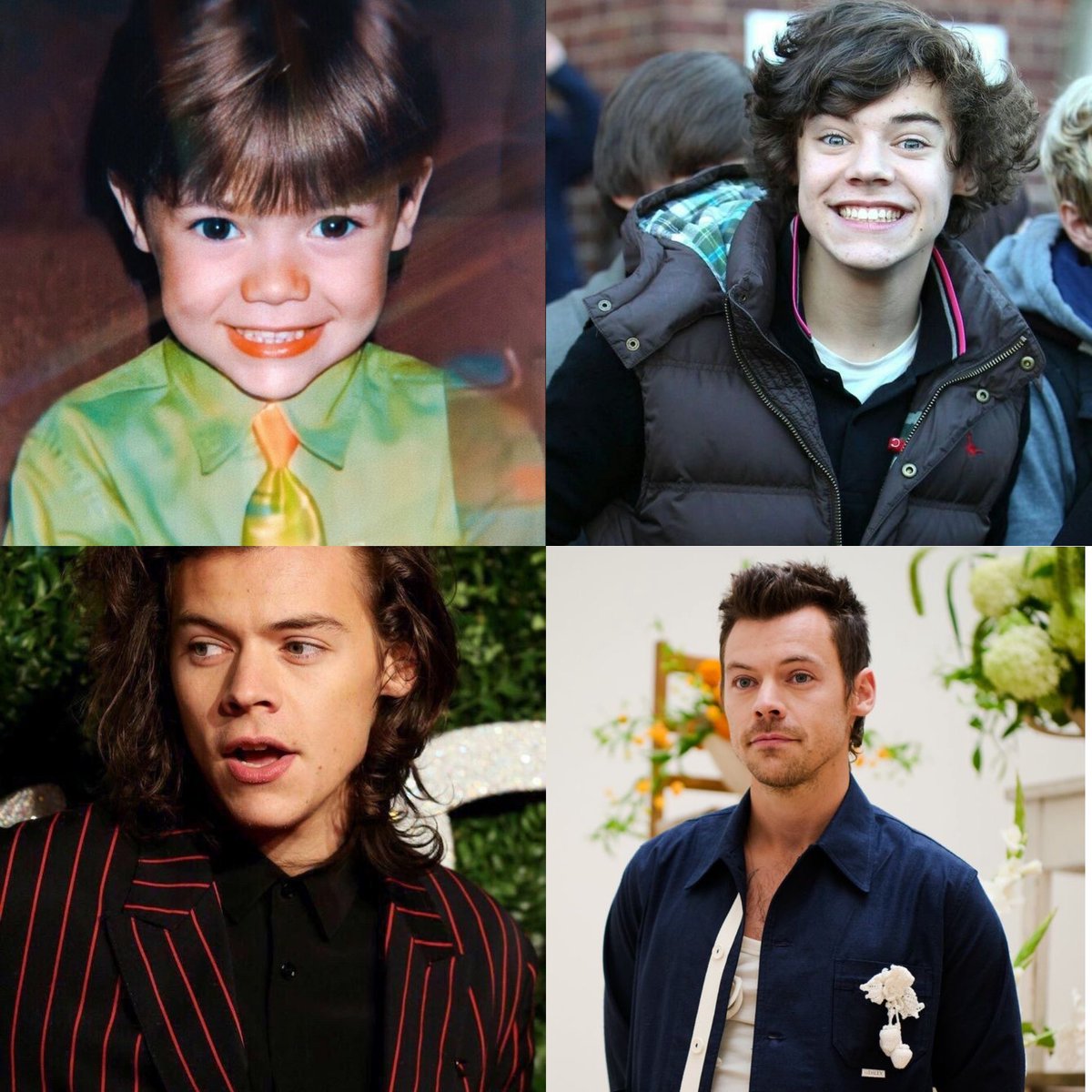 One Direction Brasil tweet media