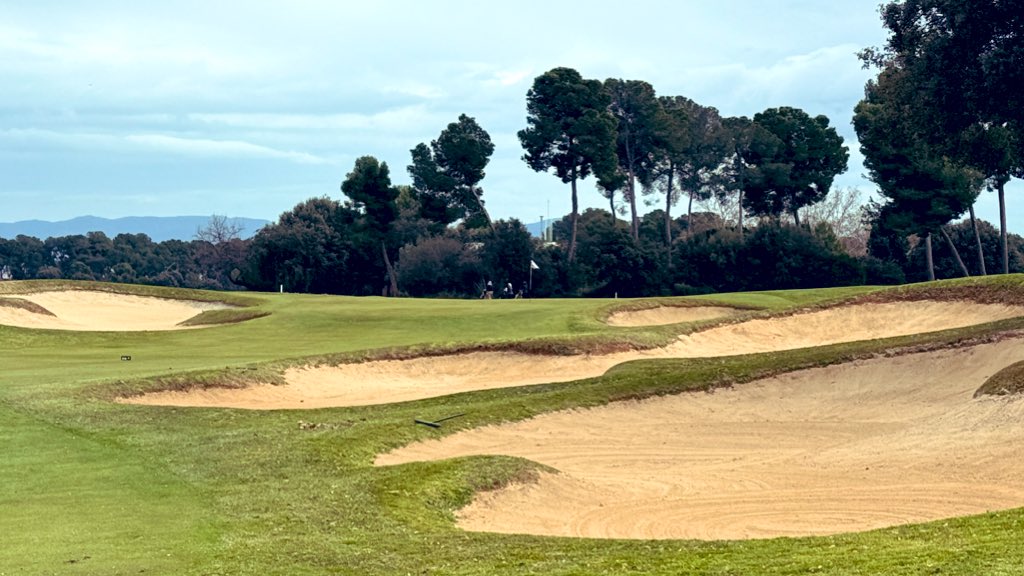 Joe Way, PhD, CTS tweet media