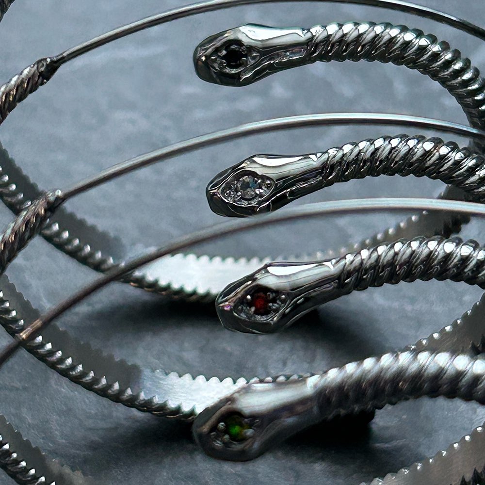 EvilPawn's tweet photo. The Vasuki Hoop Earrings have been released! This is a limited edition to the EPJ Snake Family of jewels appearing during the Year of the Snake.
🐍 🌀 ✨ https://t.co/2py2m4W7qn