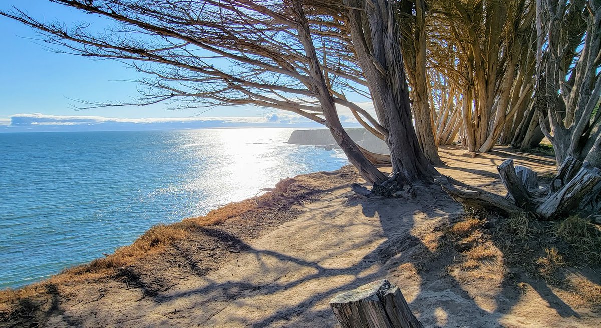 TownsUsa's tweet photo. Davenport, California 
Santa Cruz County
Population: 264
Photos from Google Places API
Link: https://t.co/c43S8dHaM6 https://t.co/rDmpNyQWce