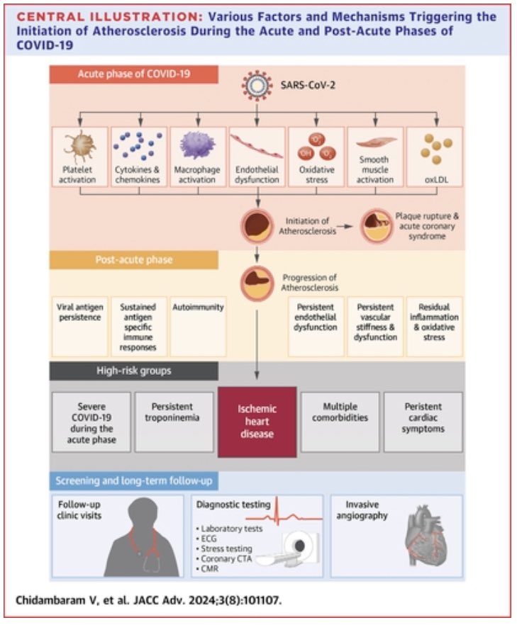 Candice Silversides (@candicesilvers1) on Twitter photo Top 5 most read papers in <a href="/JACCJournals/">JACC Journals</a> #JACCAdvances in 2024
COVID-19 in the Initiation and Progression of Atherosclerosis: Pathophysiology During and Beyond the Acute Phase | JACC: Advances jacc.org/doi/10.1016/j.… Top 5 most read papers in <a href="/JACCJournals/">JACC Journals</a> #JACCAdvances in 2024
COVID-19 in the Initiation and Progression of Atherosclerosis: Pathophysiology During and Beyond the Acute Phase | JACC: Advances jacc.org/doi/10.1016/j.…