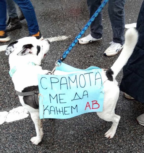 100jadinKECIC's tweet photo. @mirkotopalovic7 https://t.co/MnrmuebV2W