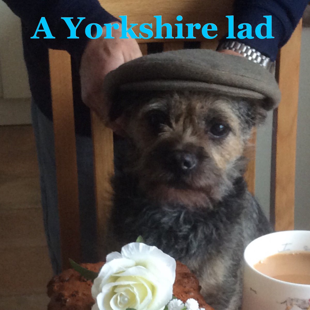 Hopper aka Clunck …4 Bluey OTRB 14\10\21 🌈💜 tweet media