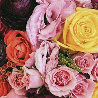 DatingDotCards's tweet photo. #NewProfilePic https://t.co/rSyQv9lwVx