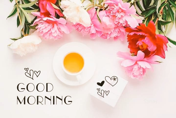 खुसी हुनु खोज्नु खुसी खोज्न नलाग्नु सुभ दिन 🌅🌅