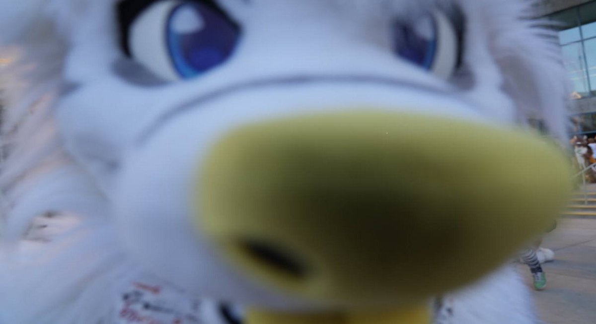 haiii hii!!! hey :3 haiii!!!!