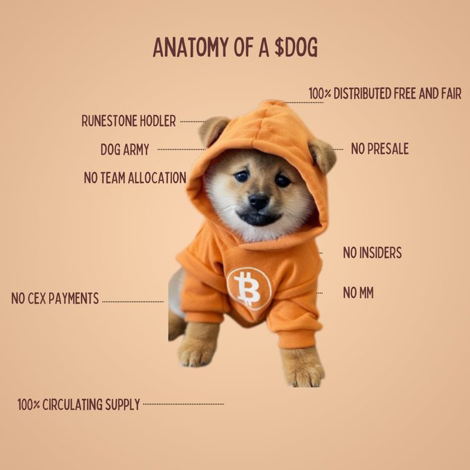 stonedfrg's tweet image. Tired of getting rugged on Solana?

Sick of Ethereum scams? 

$DOG is your safe haven. No team allocation, no smart contracts, no nonsense—just Bitcoin’s security and a dog that’s cuter than your ex. 🐾
#Unruggable #BitcoinIsSafe #DOGIsCute