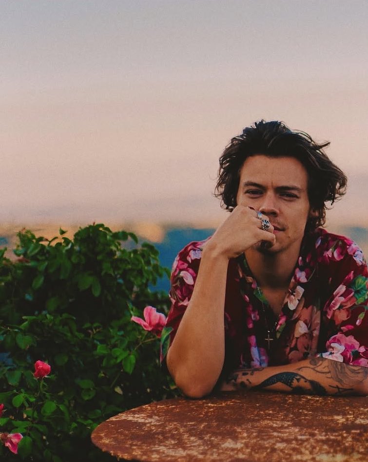 Harry photographed by Hélène Marie Pambrun.