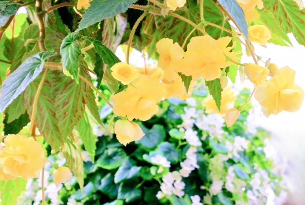 おはようございます⏰☀️𓈒𓂂𓏸(💖ᴗ͈ˬᴗ͈)ﾍﾟｺﾘ｡:.ﾟஐ⋆*🌷🌸🌺🌻🌸🌷🌼🌷🌸🌷🌼🌹•*¨*•...🌺..｡.:*🌷😆💐💖❤💝˚✩∗*ﾟ⋆｡˚✩☪︎⋆｡˚✩‧✧̣̥̇‧☽･:*(♥ω♥*)ｷｭﾝｷｭﾝ♡*゜🥰💕💕✨🎀💕💓💗😆💐💖❤💝🌷•*¨*•.¸¸♬︎♪♪(*´³`*)◌ 🫧♥𓂃 𓈒𓏸◌🍀🤍𖤐⸒⸒- ̗̀ ꒰ঌ💓໒꒱  ̖́-