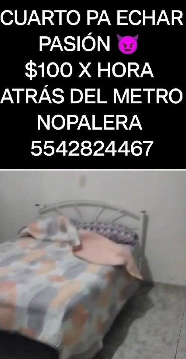 Iztapala1 tweet media