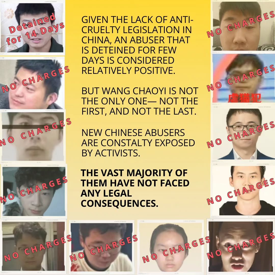 sayu_mekura's tweet photo. The international community will not stand idly by as these horrors continue. China must act now to punish these abusers and restore its reputation #Rednote  #TikTokRefugees @ChinaConsulateFuk @ChinaCG_NYC https://t.co/8wU41TZoRD