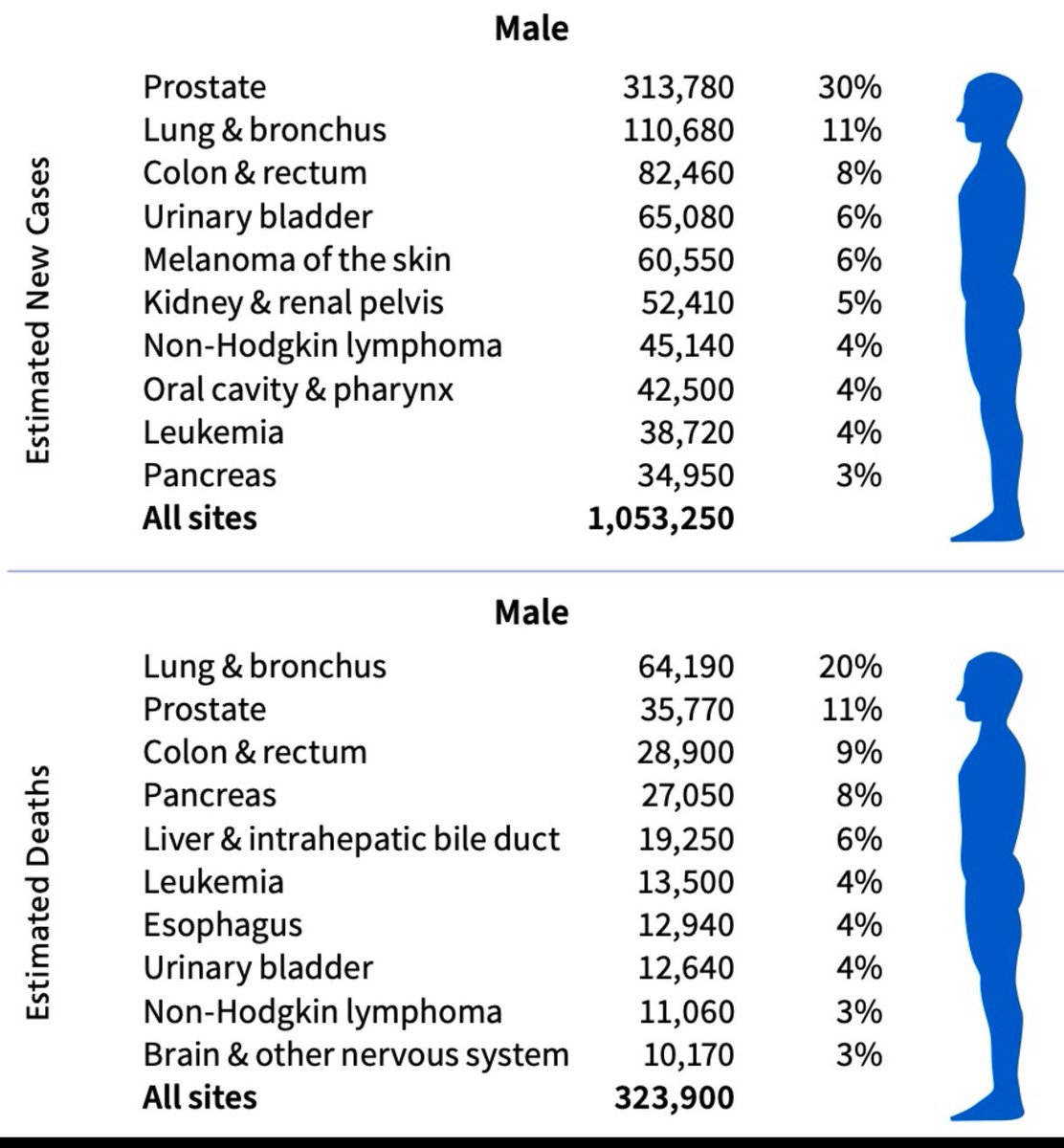 Simone Albisinni (@albisinnidoc) on Twitter photo Nuove statistiche sui #tumori maschili. La prostata rimane il primo tumore per incidenza e secondo per mortalità. Eseguiamo lo screening con il #PSA e la visita urologica, identifichiamo e trattiamo ogni caso con la terapia più adatta <a href="/ptvonline2001/">Policlinico Tor Vergata</a> Nuove statistiche sui #tumori maschili. La prostata rimane il primo tumore per incidenza e secondo per mortalità. Eseguiamo lo screening con il #PSA e la visita urologica, identifichiamo e trattiamo ogni caso con la terapia più adatta <a href="/ptvonline2001/">Policlinico Tor Vergata</a>