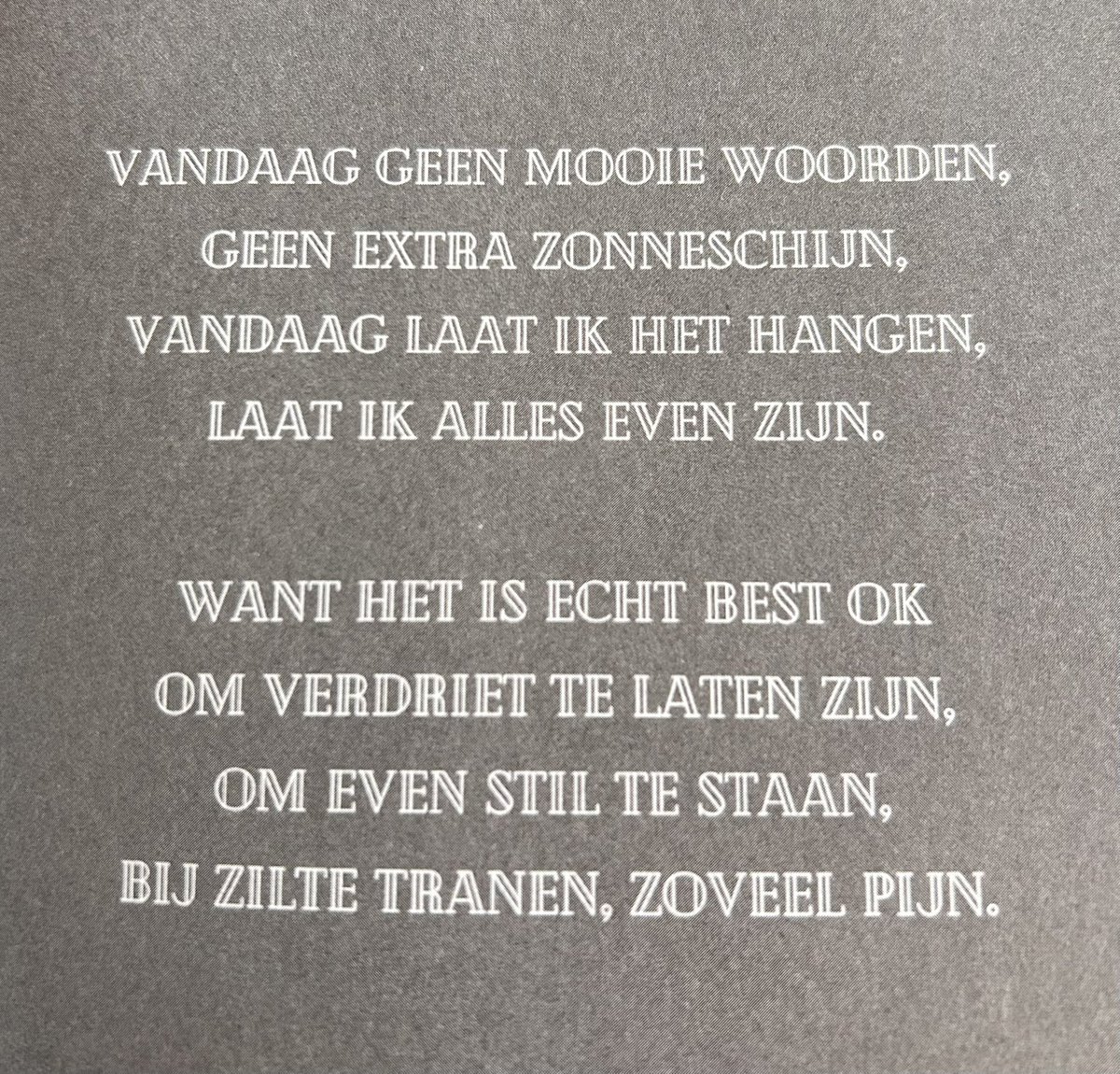 Machteld🐄 tweet media