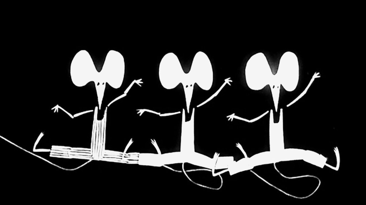 Cartoon Night in Canada tweet media