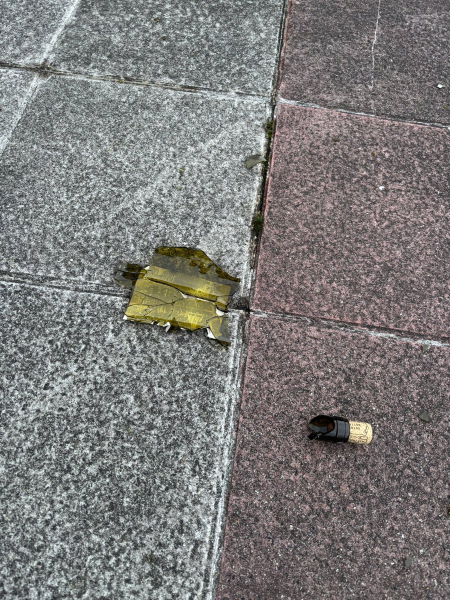 18.30 y la plaza en la que habitualmente juegan niños llena de cristales rotos. Un peligro <a href="/PazodeRaxoi/">Concello de Santiago</a>