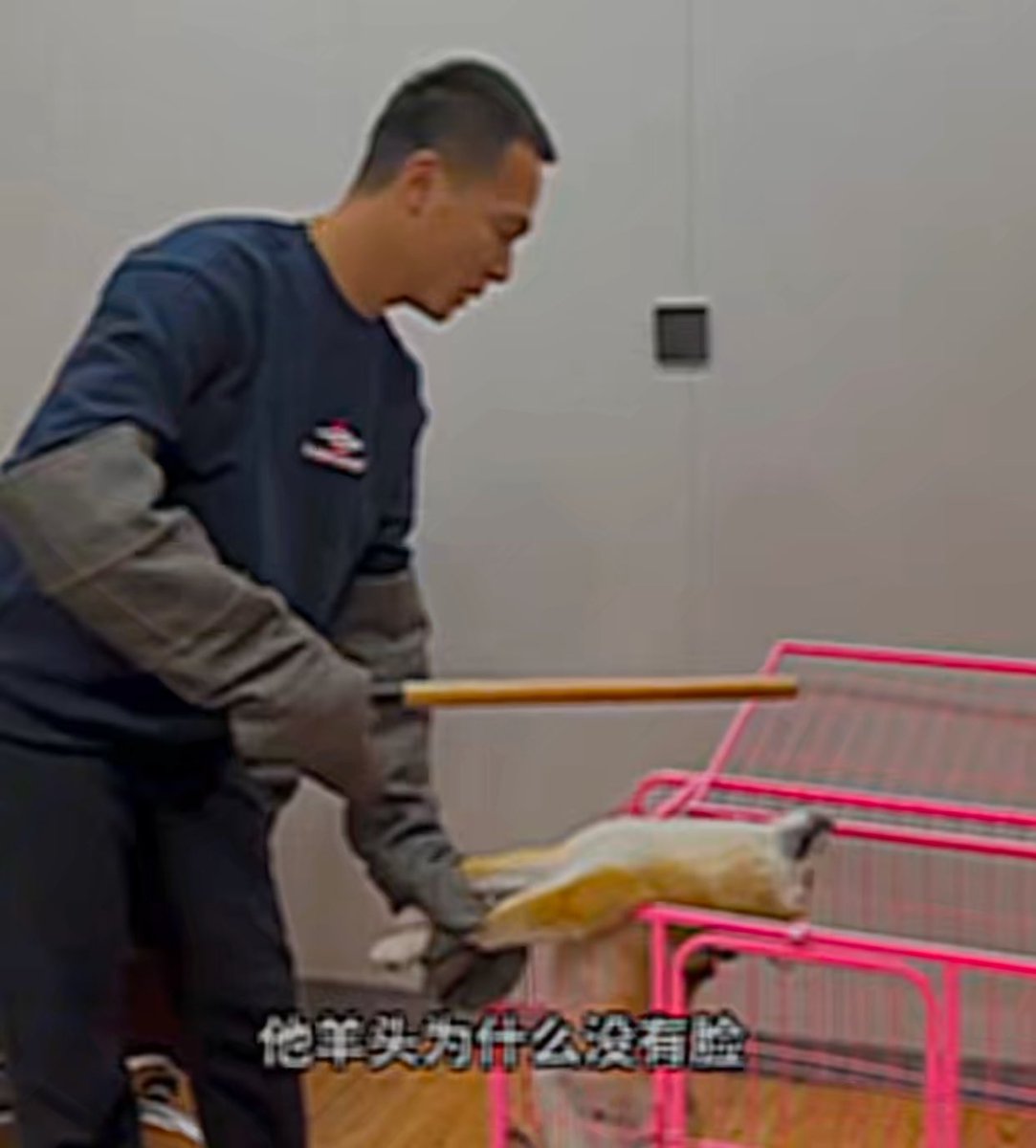 PhaedraXTeddy's tweet photo. Imagine 🤮 sleeping with Pan Hong, China tik tok dog abuser 🇨🇳. Men like him shouldn't be spawning and most dont. His millions of followers 🇨🇳 imagine they will be like him 🤡 if they abuse animals. https://t.co/hZ05D2TzG5