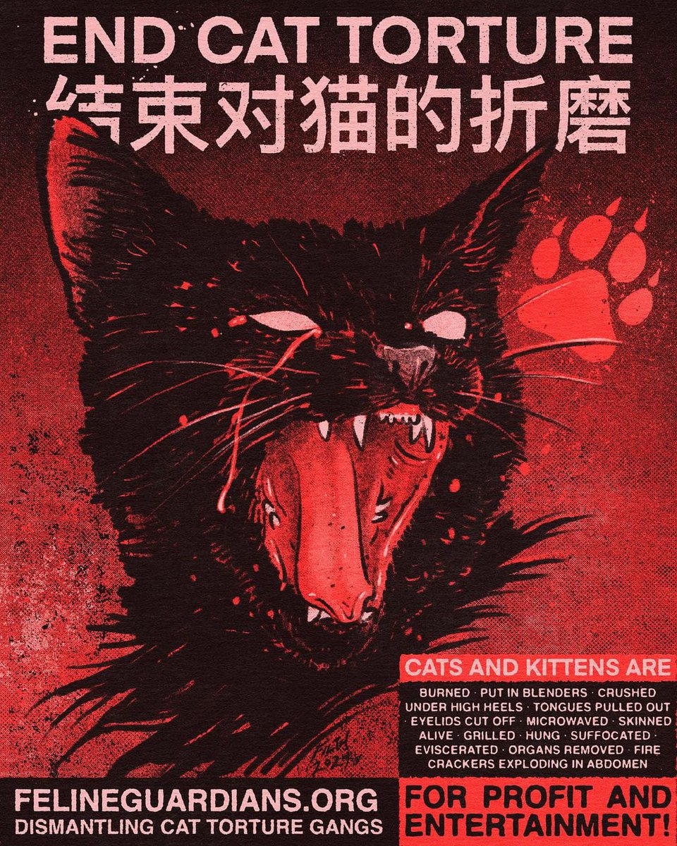 sayu_mekura's tweet photo. Cat abusers are celebrating the #ChineseNewYear by torturing innocent cats—using fireworks to burn them, drowning them to suffocate, and customizing cruel death methods for profits. The Chinese government MUST act NOW. @ChineseEmbinUS @MFA_China #Rednote #CatTax #DeepSeek https://t.co/RgXw5p27zC