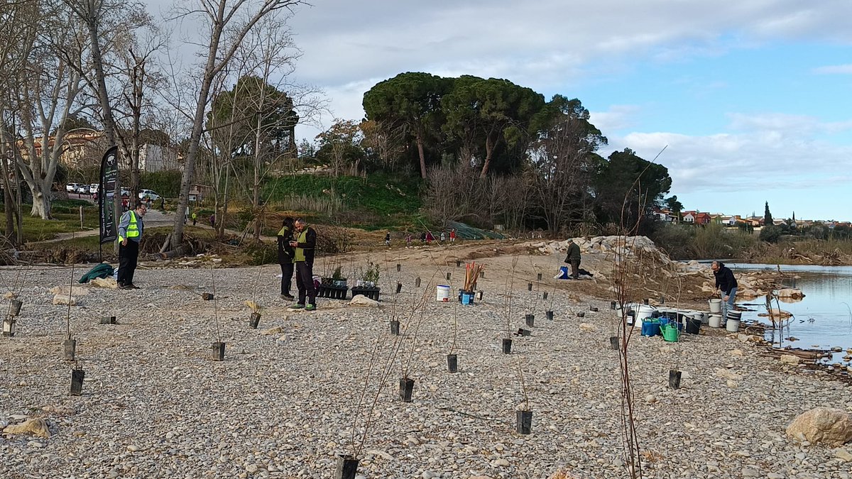Coordinadora Bosques Turia tweet media