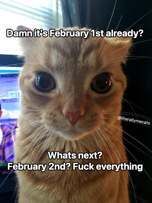 literallymecats's tweet photo. https://t.co/YQY6jK8Xab