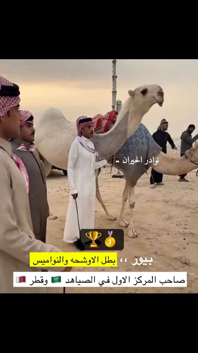 فيصل بن راجس tweet media