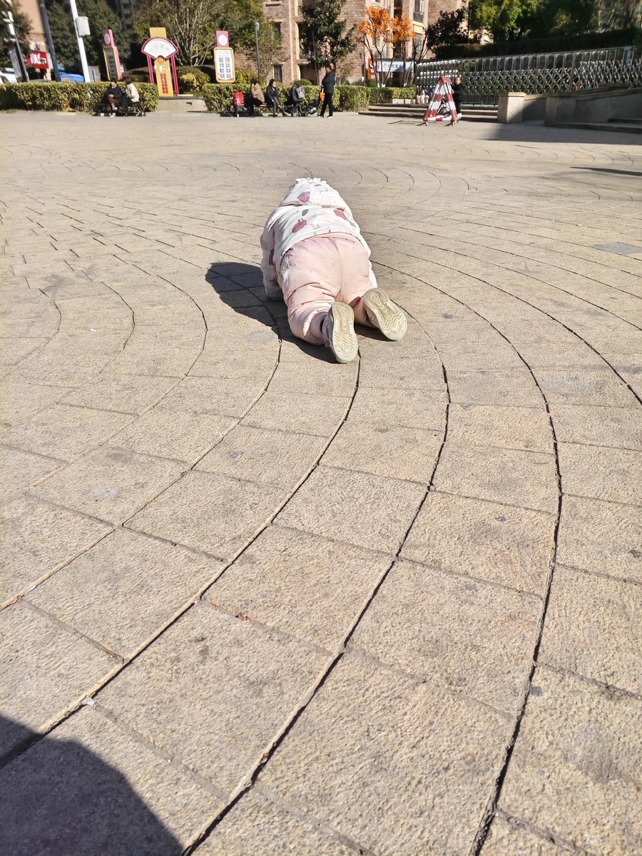 Garbageasdf's tweet image. 友達の子供が地面に倒れて癇癪を起こしているのを見ました。
写真を撮らずにはいられませんでした