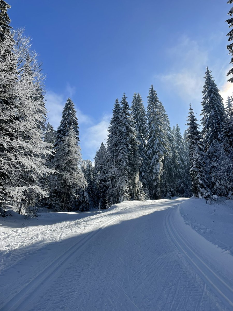 Quoi de mieux que de la neige et du soleil pour préparer les mondiaux ? 🥳

#sun #jura #snow