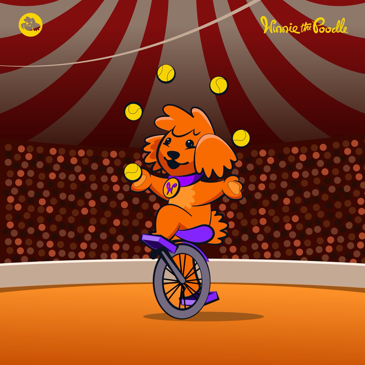 🐾 Trivia Time: True or False: Poodles were originally circus performers! 🎪 Drop your guesses! #Winnieverse
#WinnieAsks #WinnieTrivia