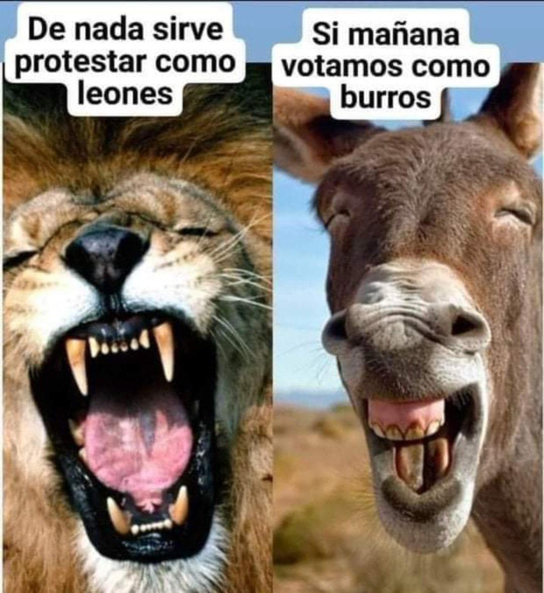 buenamemoria66's tweet photo. @evelynmatthei 😡 https://t.co/kRSs6wH3oK