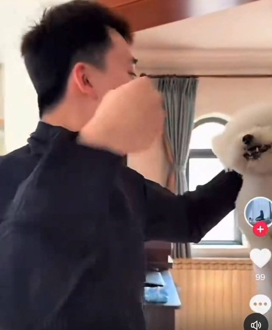 PhaedraXTeddy's tweet photo. This baby man is said to be in LosAngeles #California,  abusing dogs and cats for Chinese 🇨🇳 tiktok #Douyin.
Teens and young people are driving the trend of cat abuse memes and real abuse. A society which normalizes young people acting inhuman cannot be considered healthy #ChineseNewYear @ChinaEmbNL @SpokespersonCHN