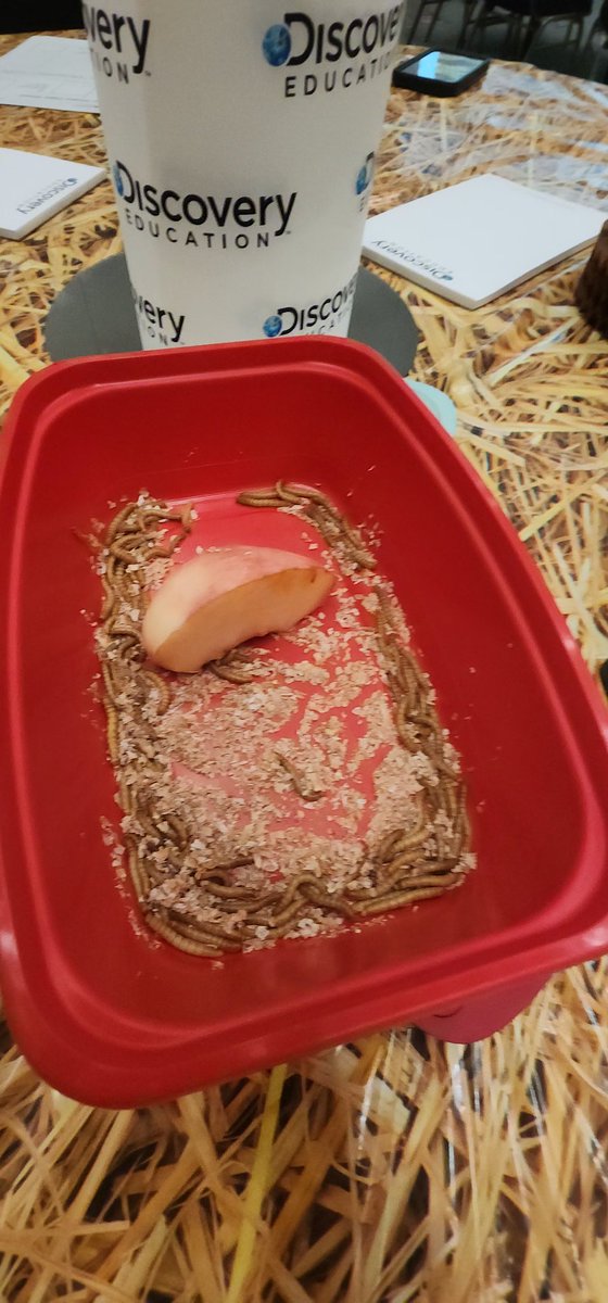 Day 1 at TCEA 25 in Austin with Discovery Education learning about Pivot Interactives and Mystery Science. #TCEA25 #DiscoveryEducation