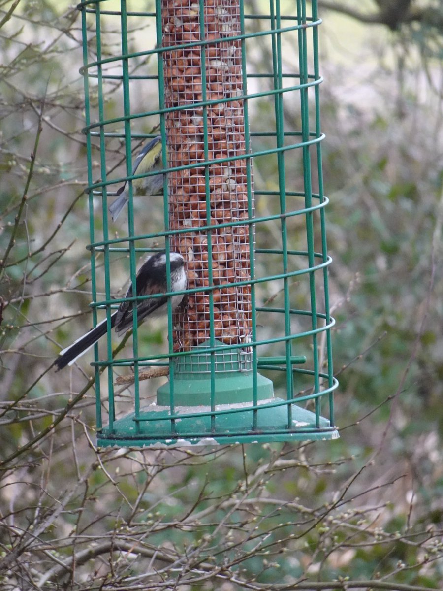 Susan Jones tweet media