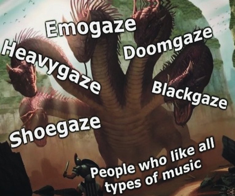 Shoegaze Memes (@shoegazem) on Twitter photo 