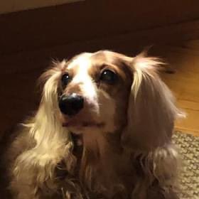 Merja Rehn tweet media