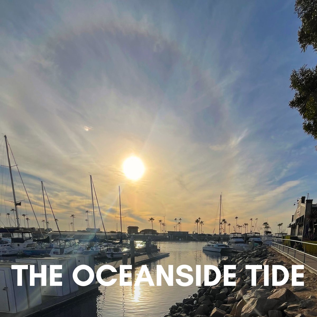 Experience the best of O'side in February! Get all the details in the City newsletter: 📷 conta.cc/3EkxshC

#OceansideCA #CItyNews