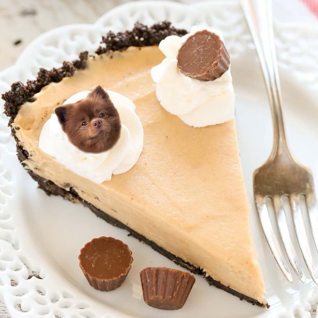 The only thing sweeter than this pie? $BERT himself.