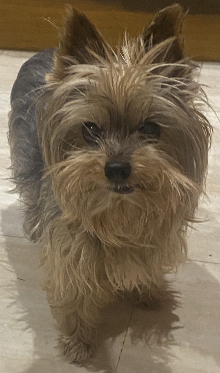 ⚫️⚪️Sonia⚪️⚫️⚔️ tweet media