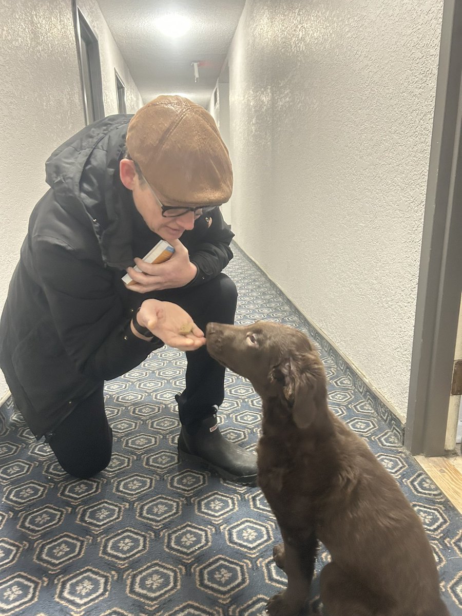 ottawacentreNDP's tweet image. Team @JoelDHardenNDP on the doors again!
Special thanks to the dogs of Ottawa Centre for making us happy! Thank you to Finn’s human for letting us give this gorgeous guy a treat.