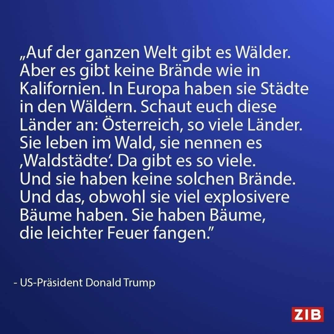 littlewisehen's tweet photo. Es gibt explosive Bäume in Österreich…

Wer hat’s gewusst? 🤡 https://t.co/0wbwWCGf8M