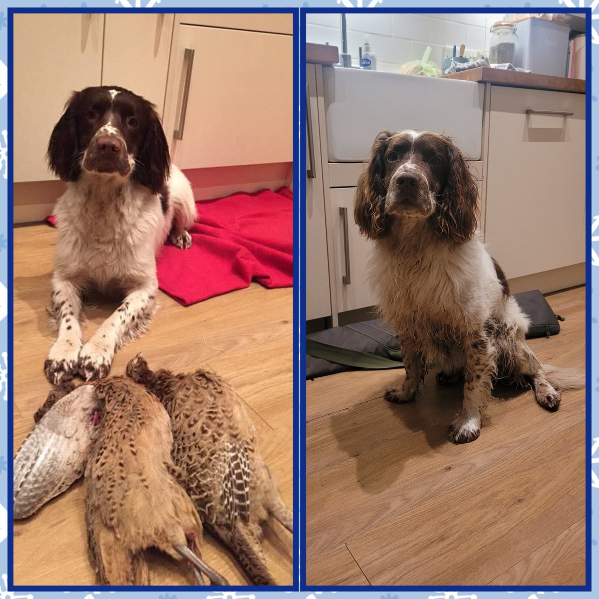 1st shoot vs Last shoot... 9 years difference .  #Bubba