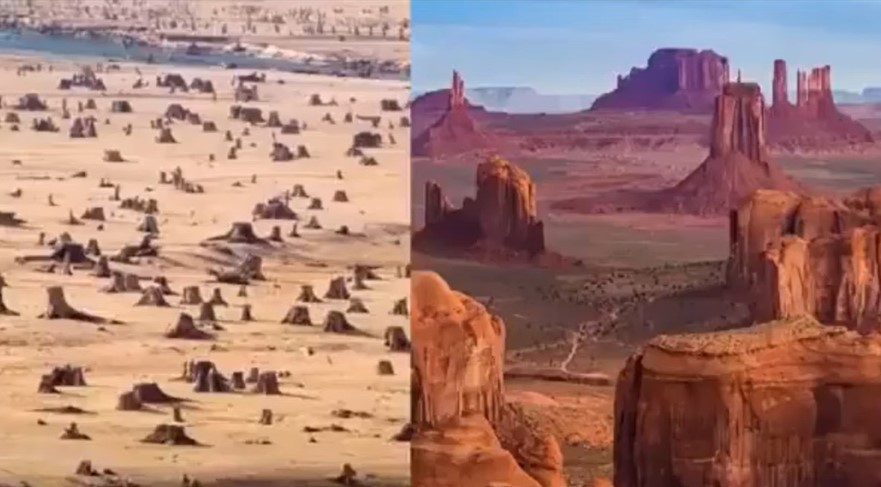 Xrgius Xanz tweet media