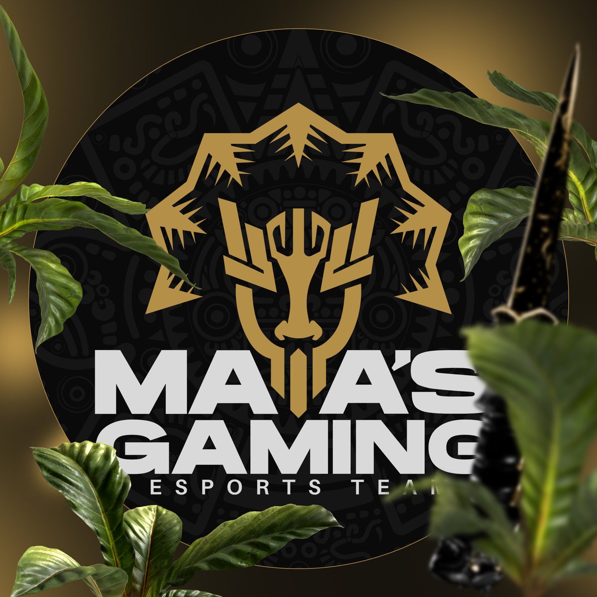 #NuevaFotoDePerfil

Nuevo comienzo, nueva imagen.
Regresamos más fuertes que nunca