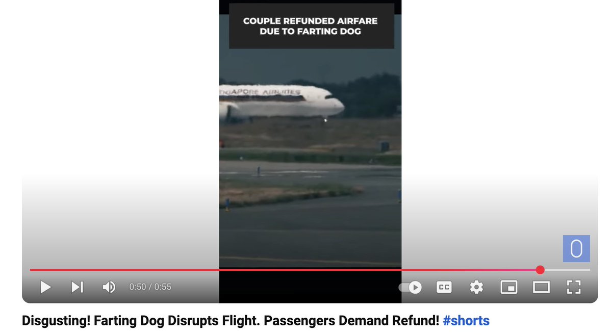 Pissing Dog Farts (@pissingdogfarts) on Twitter photo Guys <a href="/simple_flying/">Simple Flying</a> our dog also pees, we can make flying business $pdf and pissy farts services Guys <a href="/simple_flying/">Simple Flying</a> our dog also pees, we can make flying business $pdf and pissy farts services