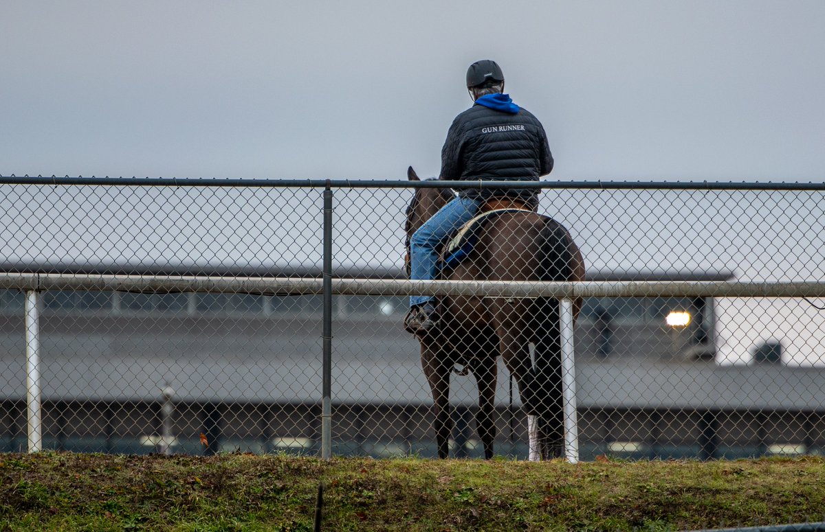 Robert Yates tweet media