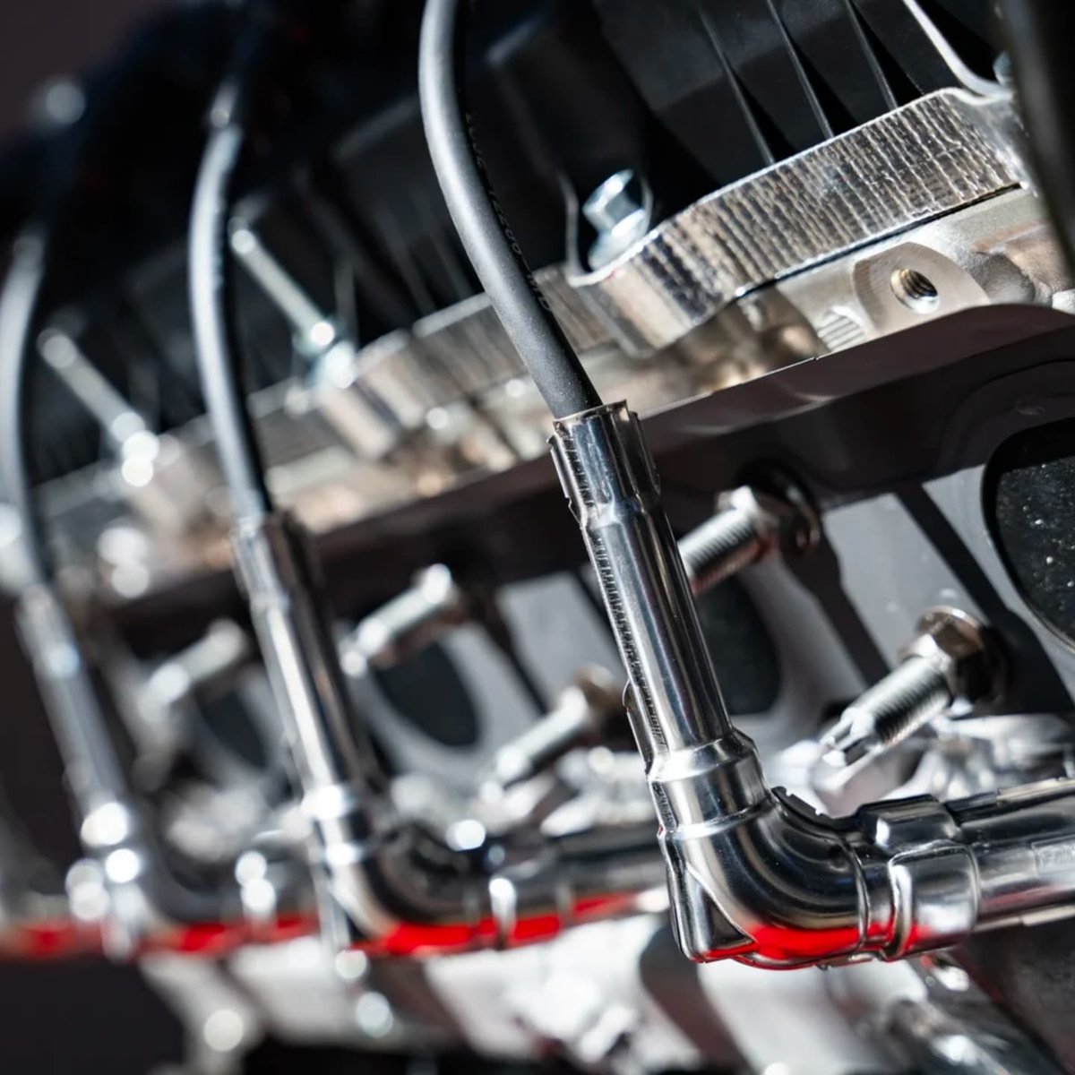 Wheelhouse tweet media