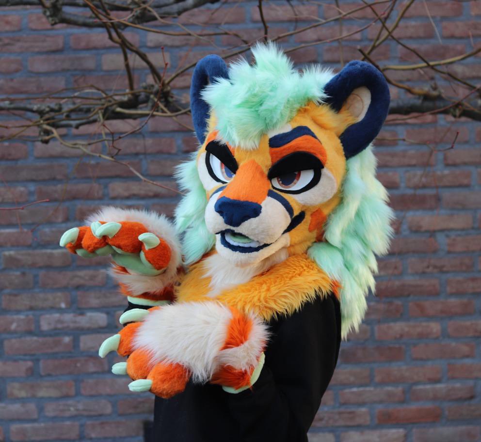 Zadra🦁🇳🇱🔜FWA🇺🇸 tweet media