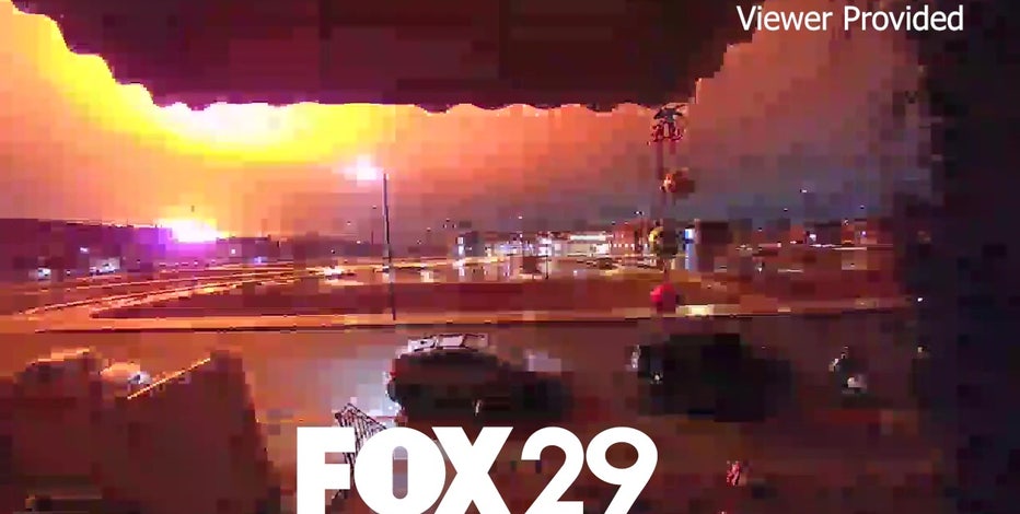 Curts Creatures tweet media