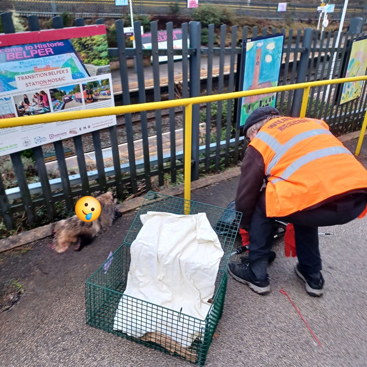 We’re part of the @coopUK Local Community Fund. Co-op Members can help raise funds for our project by choosing Mid Derbyshire Badger Group as your cause at membership.coop.co.uk/causes/91893.