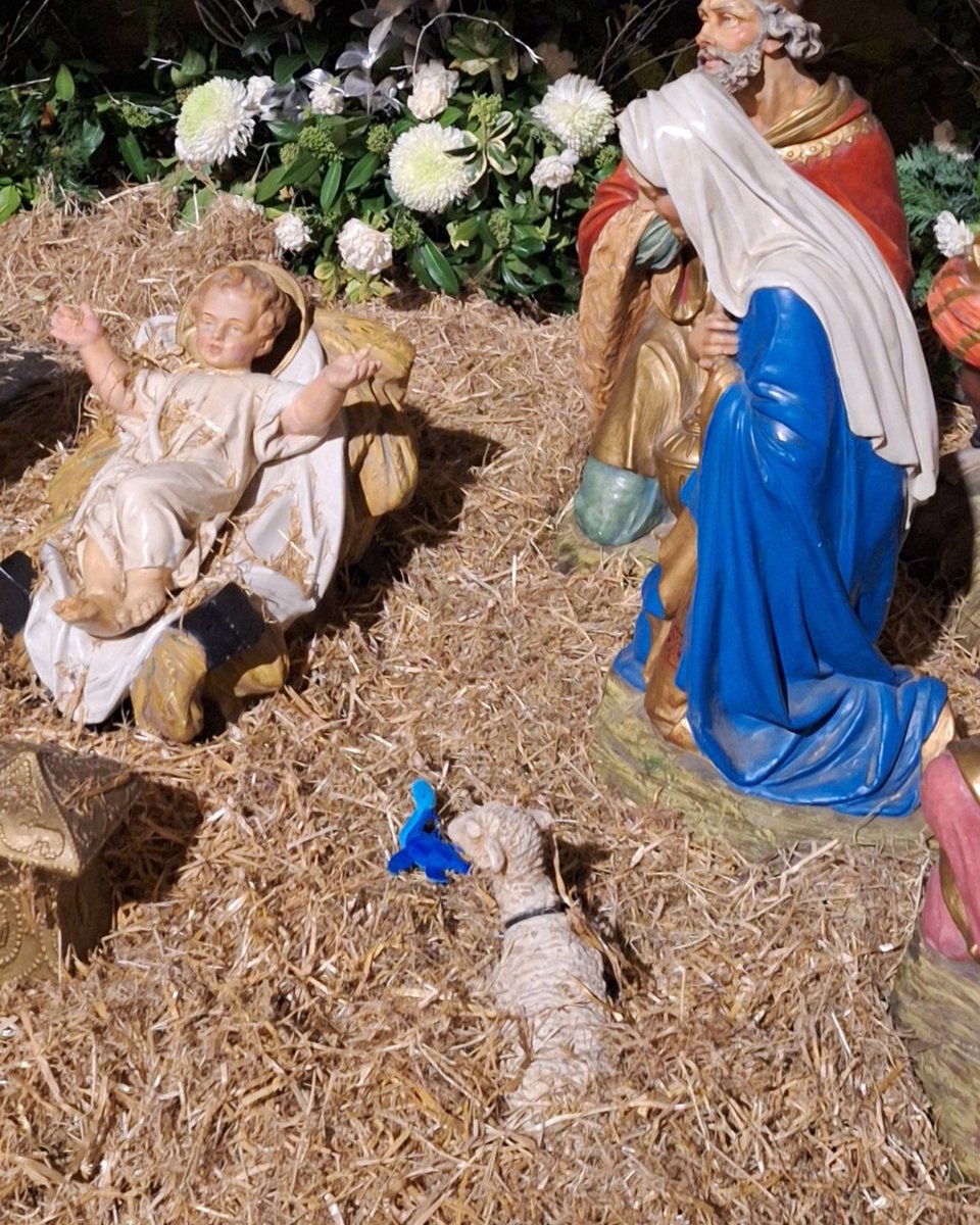 May or may not have smuggled this wee dinosaur into the Crib for a few hours before we leave Christmas...