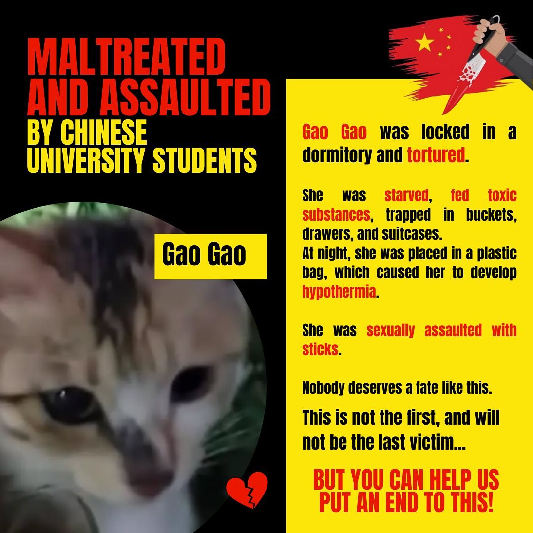 michisisss tweet media